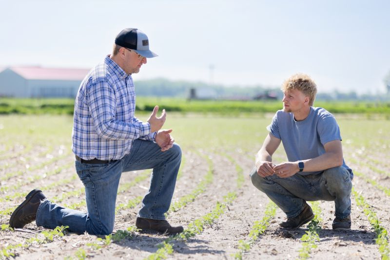 Crop Insurance Consultation